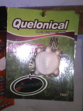 CALCIO PARA TORTUGA